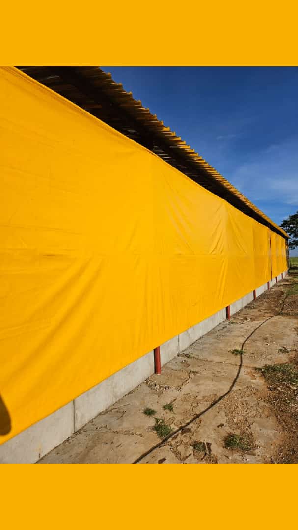 Chicken Curtain Example 2