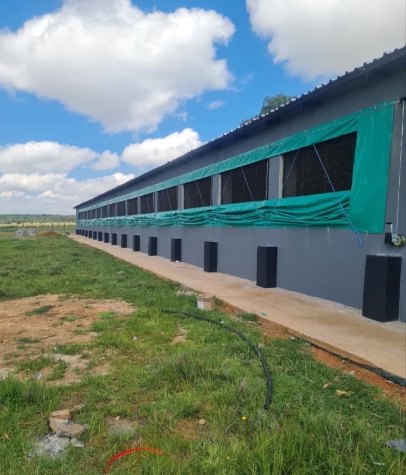 Chicken house curtain installation