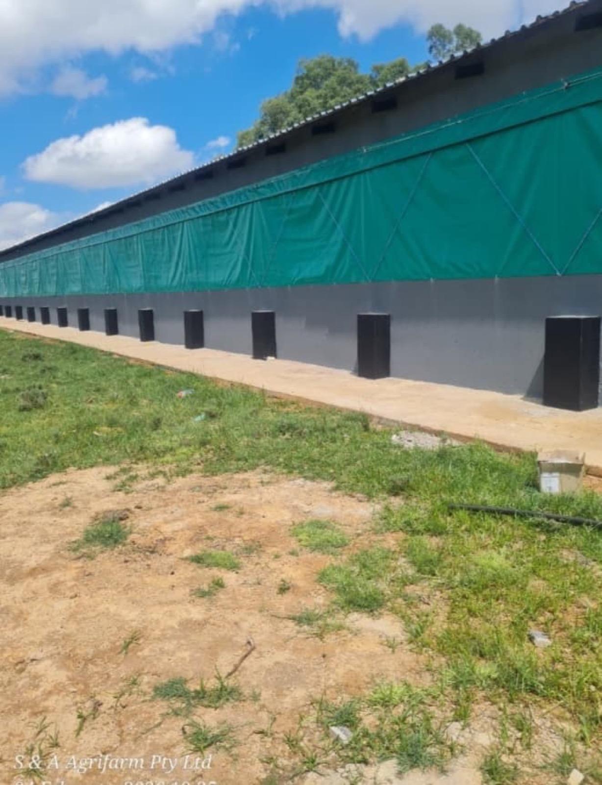 Poultry curtain system