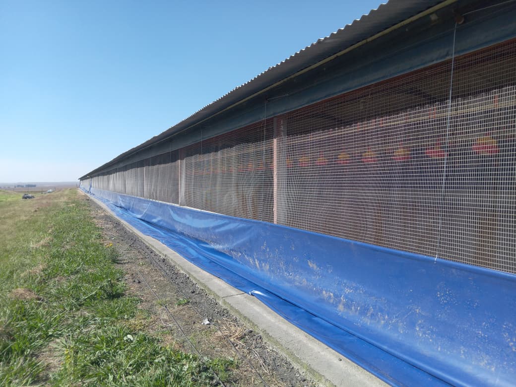 Poultry Farm Curtains