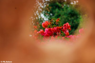 Truck Cover Example 2